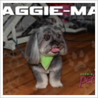 Copyright Darwin Pet Spa 2012